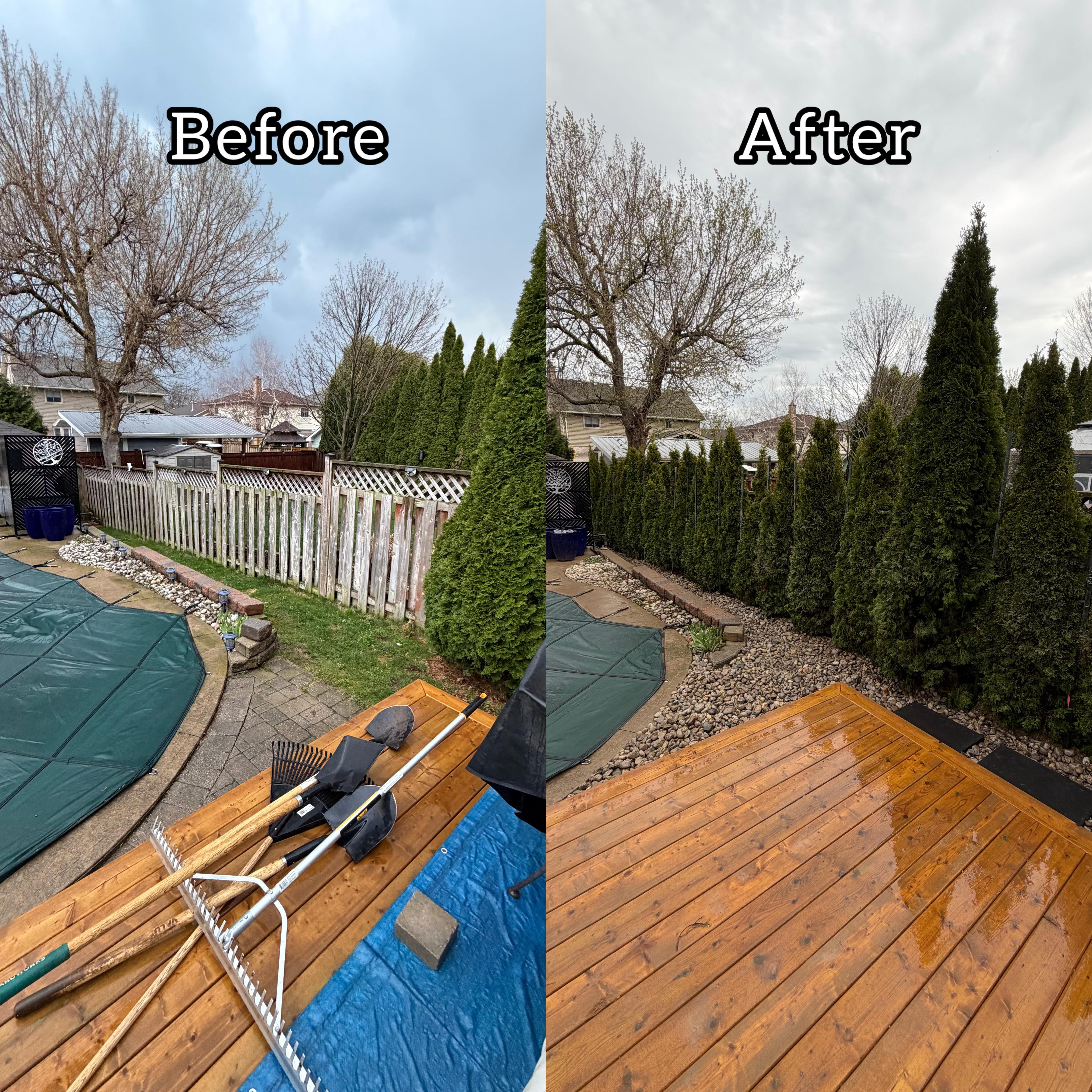 Cedar job